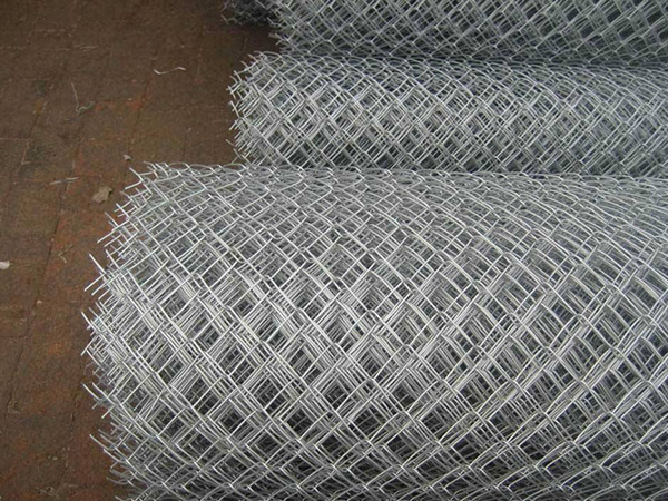 �_�׾W���l