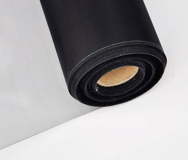 ���ھWҎ��